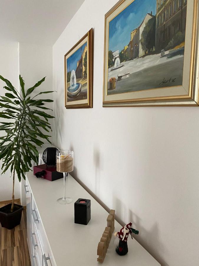 Studio Apartman Bf 斯拉沃尼亚布罗德 外观 照片