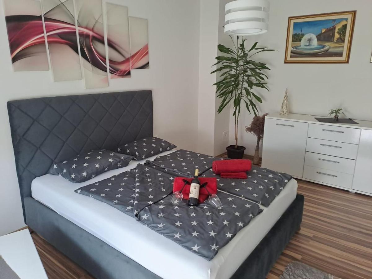 Studio Apartman Bf 斯拉沃尼亚布罗德 外观 照片