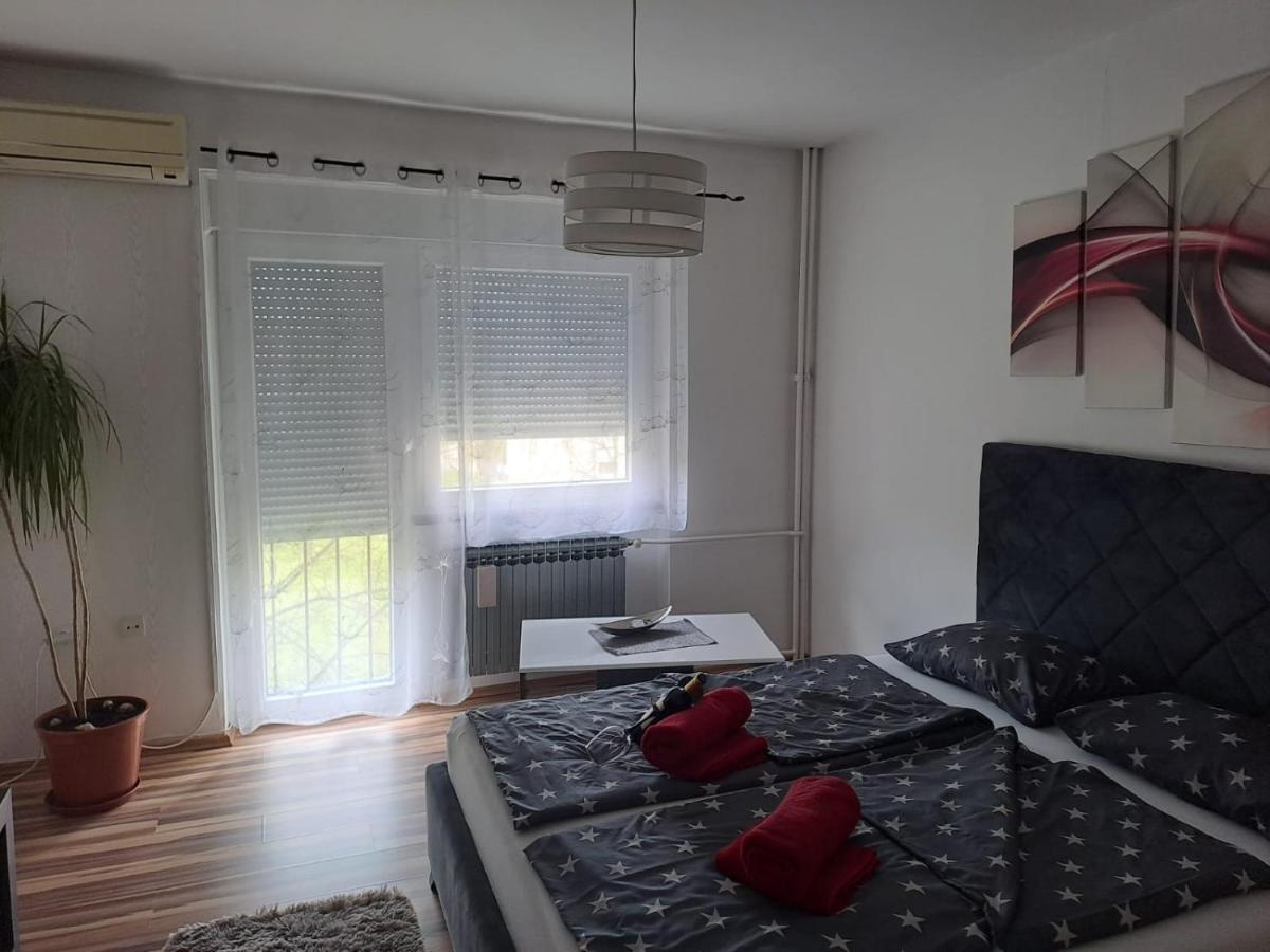 Studio Apartman Bf 斯拉沃尼亚布罗德 外观 照片
